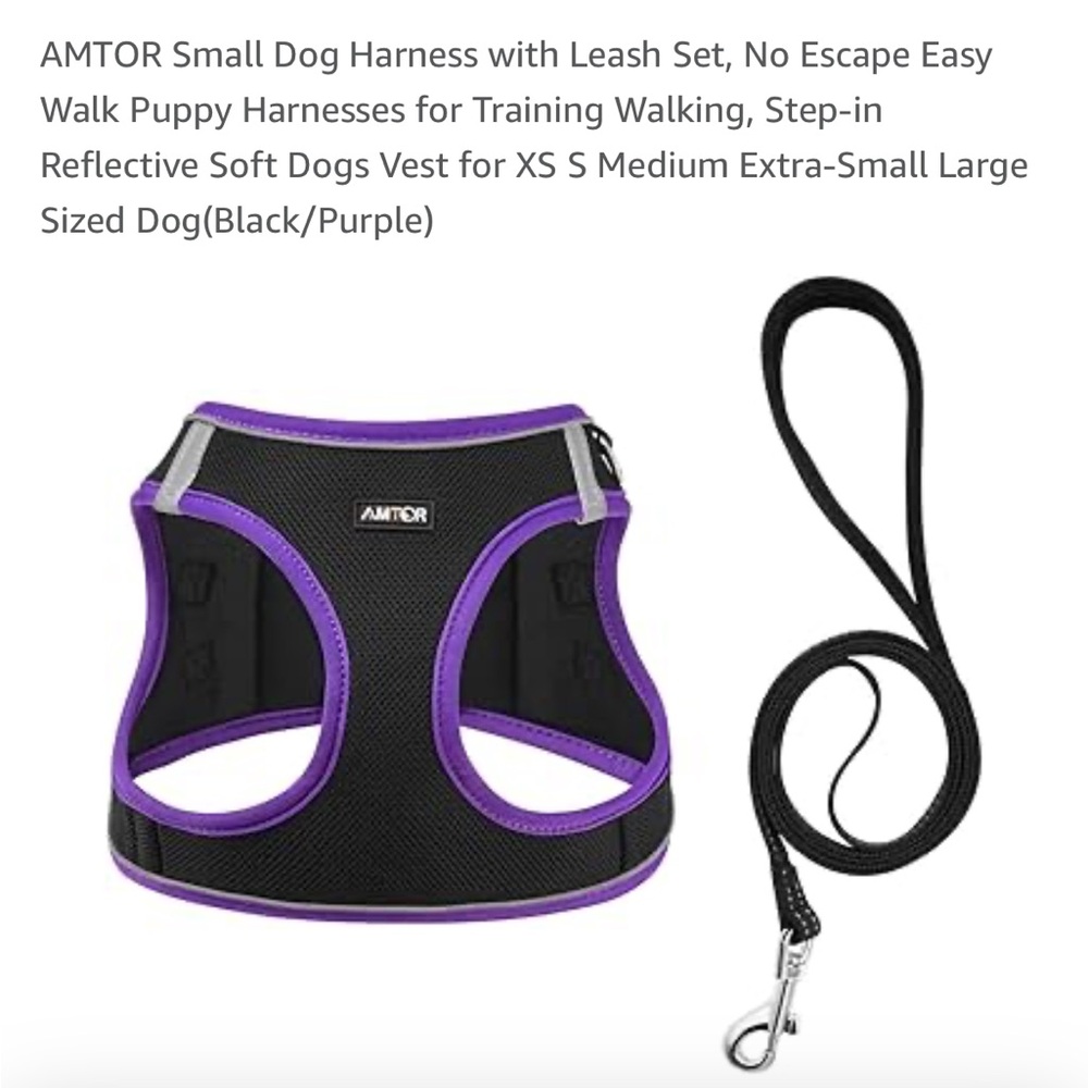 Black and Purple Dog Harness with Leash Set